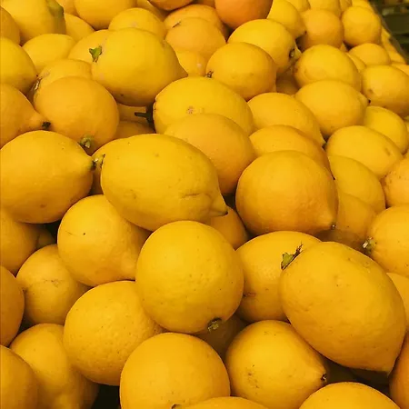 Lemon House Cunda Ayvalik