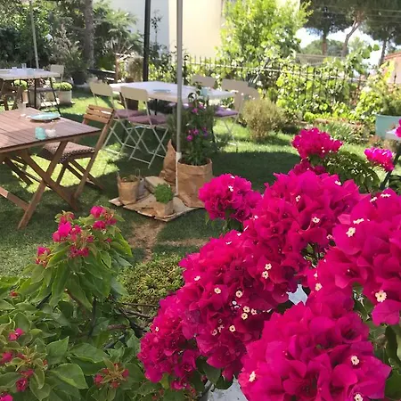 Lemon House Cunda