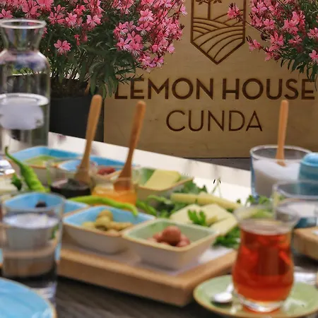 Lemon House Cunda * Ayvalı