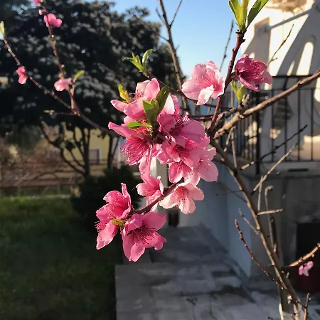 Nocleg ze śniadaniem Lemon House Cunda *