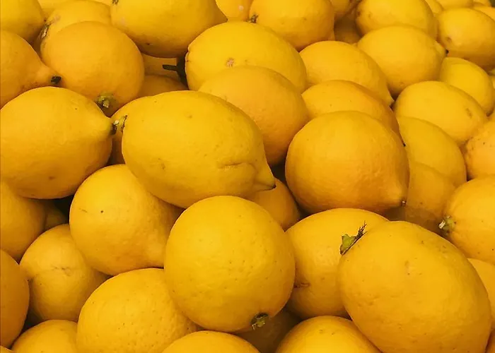 Lemon House Cunda Айвалык