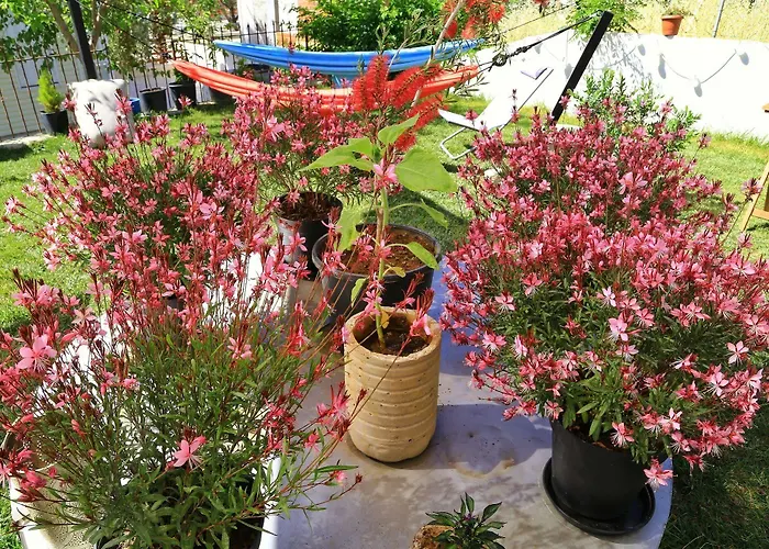 Lemon House Cunda * Айвалык